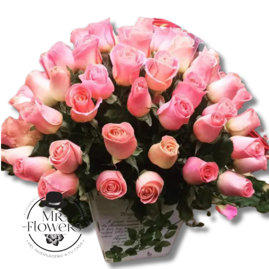 75 Rosas Rosa en Arreglo Floral
