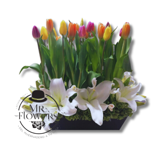 Arreglo Floral con 30 Tulipanes y Casablancas