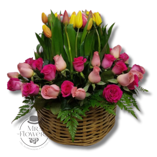 Arreglo Floral con 50 Tulipanes y 48 Rosas en Canasta