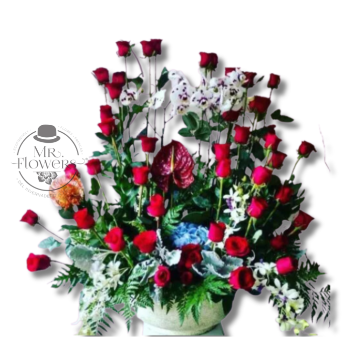 50 Rosas y 3 Orquídeas