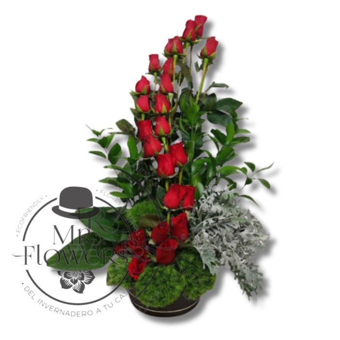 arreglo floral con 24 rosas S