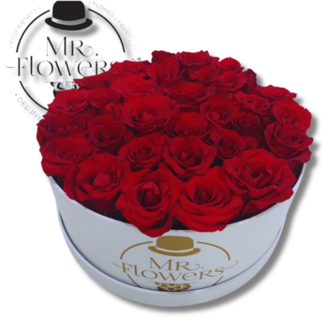 Caja con 24 Rosas Rojas 1 Caja con 24 Rosas Rojas