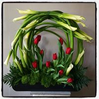 Alcatraces flores 1 Arreglo floral con Alcatraces y Tulipanes