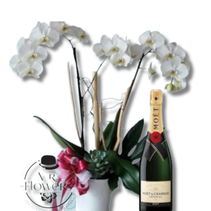 Orquídea & Champagne