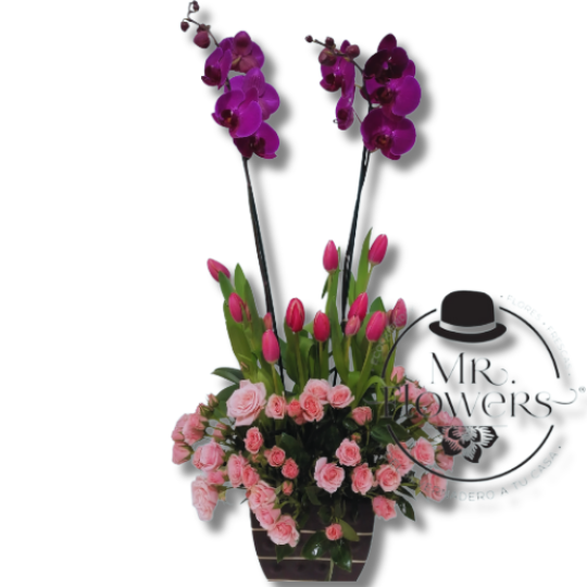 Arreglo de Tulipanes con Orquídea y Mini Rosas