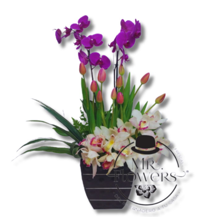 Arreglo Floral con Orquídeas y Tulipanes