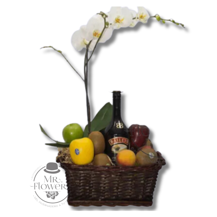 Orquídea con Fruta y Baileys
