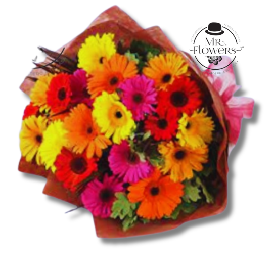 Ramo de 24 Gerberas