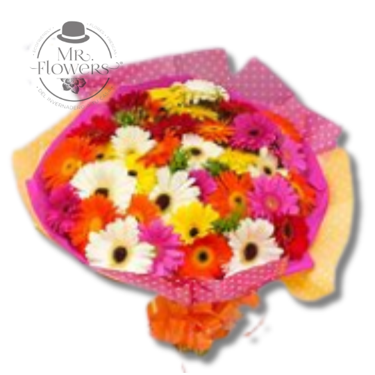 Ramo de 36 Gerberas