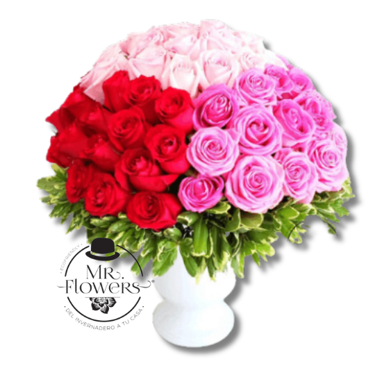 Arreglo con 100 Rosas 4 colores