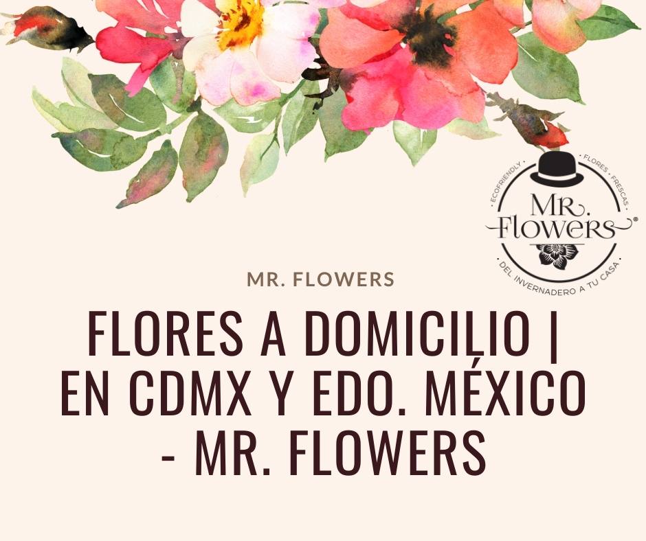Flores a Domicilio | En CDMX y Edo. México‎ – Mr. Flowers