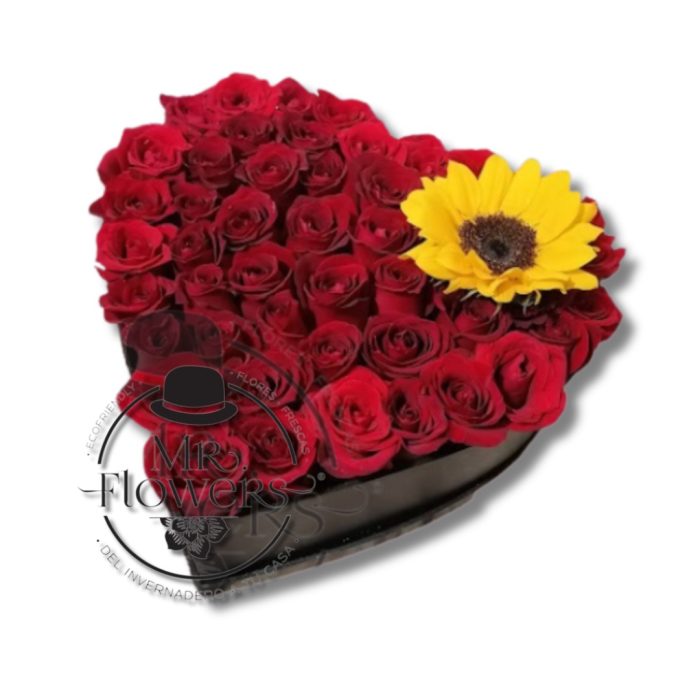 CORAZÓN CON 49 ROSAS Y 1 GIRASOL