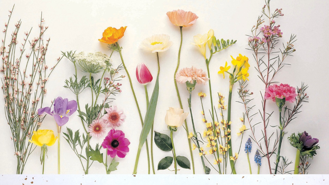 Las personalidades de las Flores