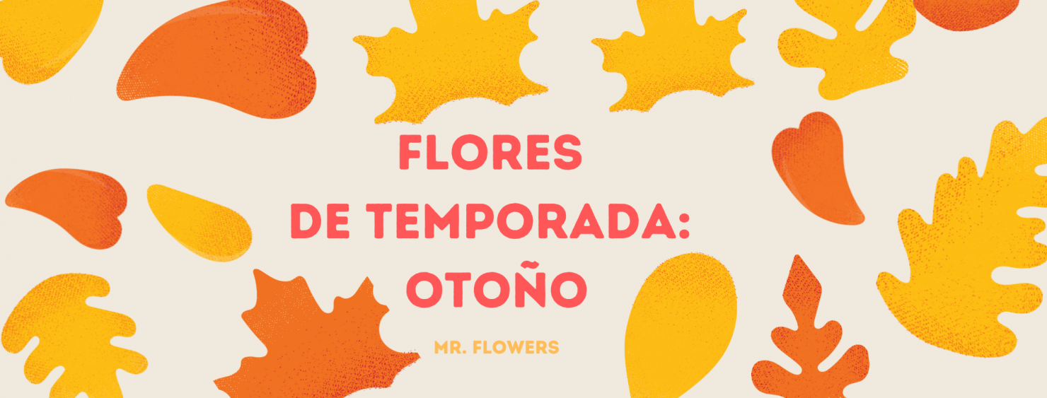 Flores de Temporada: Otoño