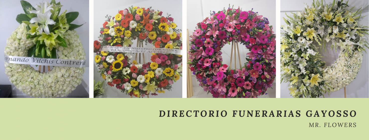 Directorio Funerarias Gayosso