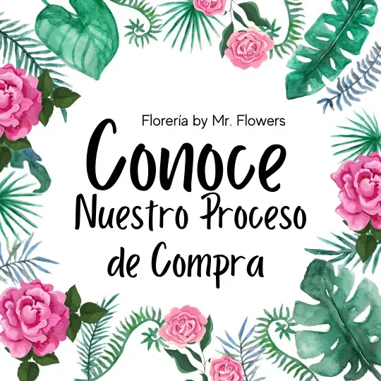 Conoce Nuestro Proceso De Compra