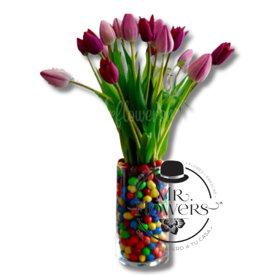 20 Tulipanes con M&Ms en Florero