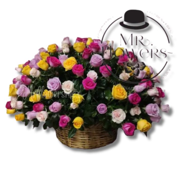 Canasta de 100 rosas Multicolor