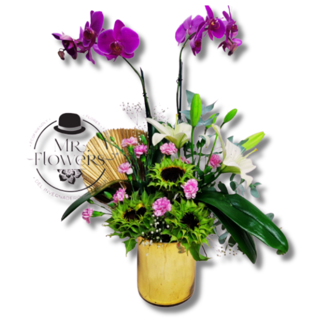 Orquídea Doble Primaveral 1 Orquidea Doble Primaveral