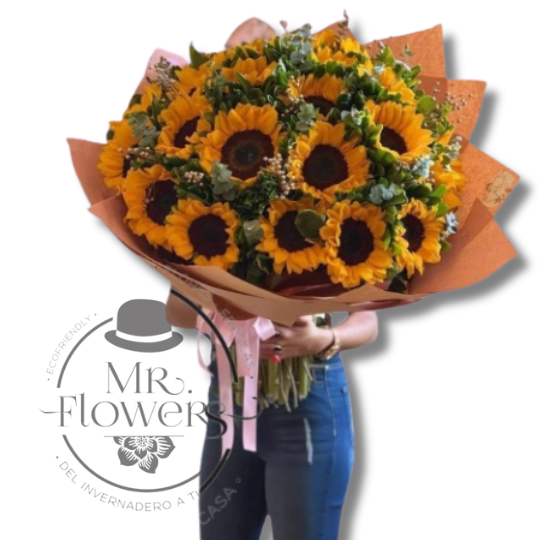 Ramo de 50 girasoles