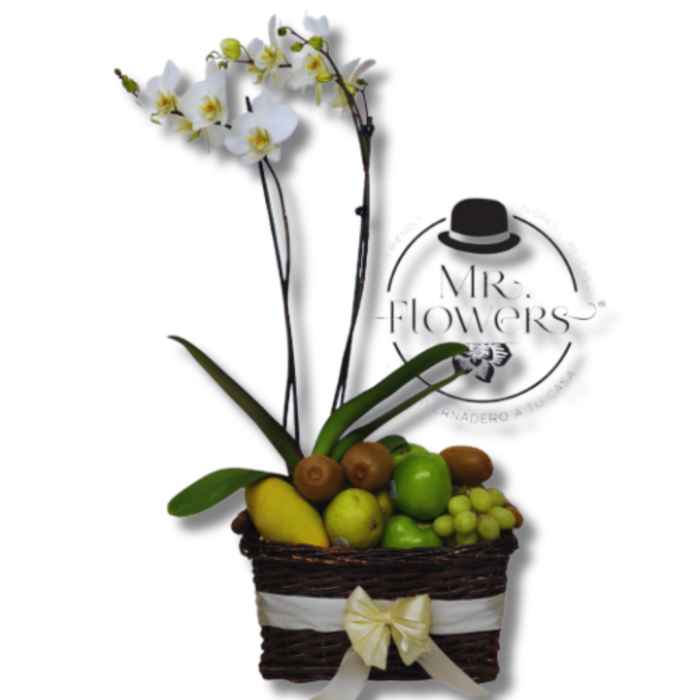Frutos Verdes y Orquídea