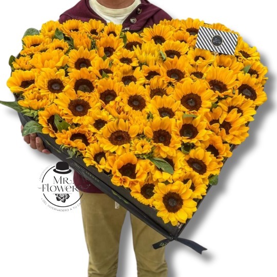 Alegría de Girasoles